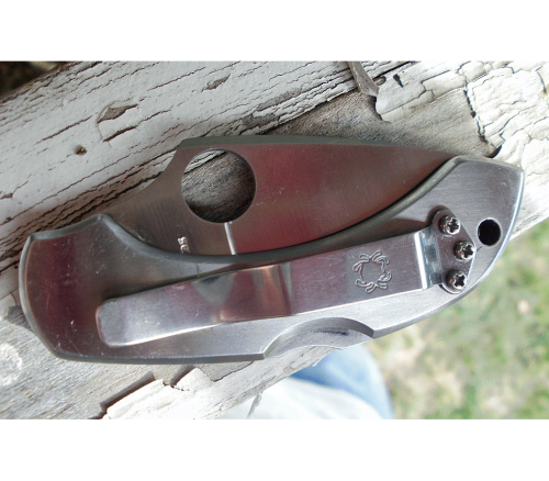 Складной нож Spyderco Dragonfly 2 Tattoo - 28PT фото 23